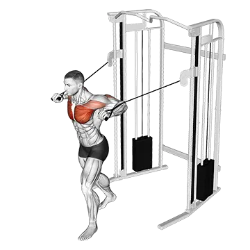 Cable Standing Chest Press