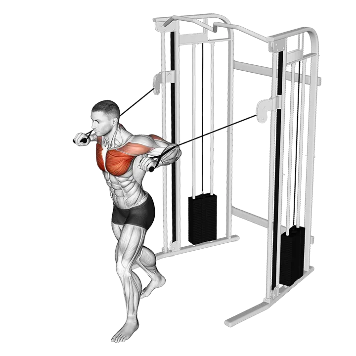 Cable Standing Chest Press exercise animation (Male)