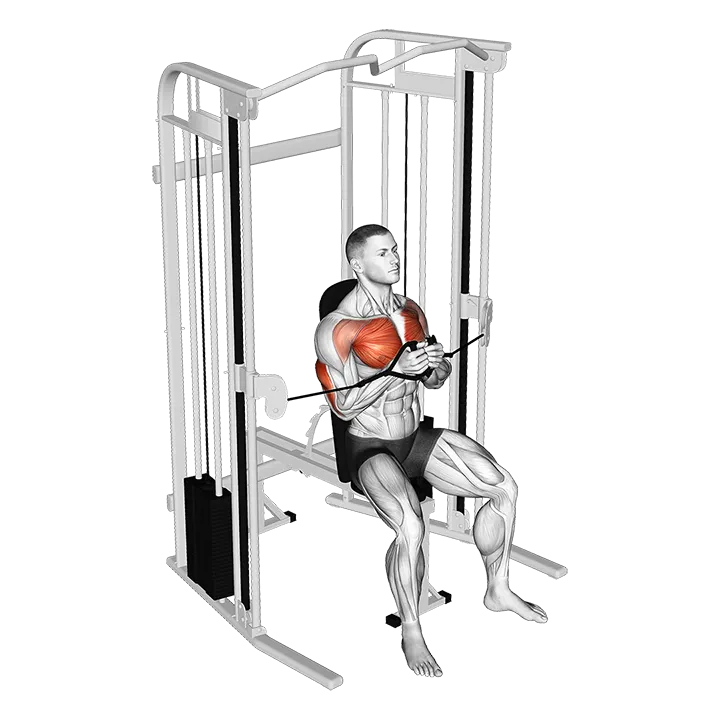 Cable Seating Close Press exercise animation (Male)
