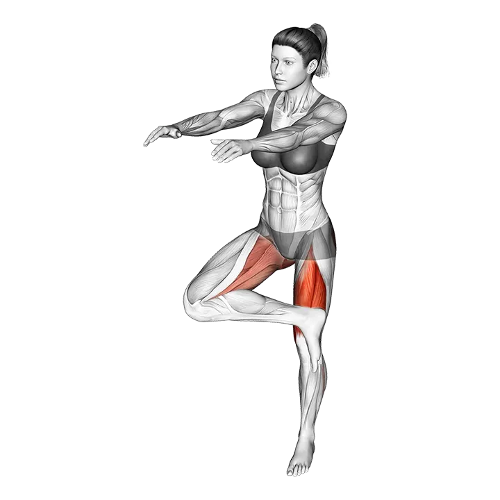 Hawaian Squat exercise animation (Female)