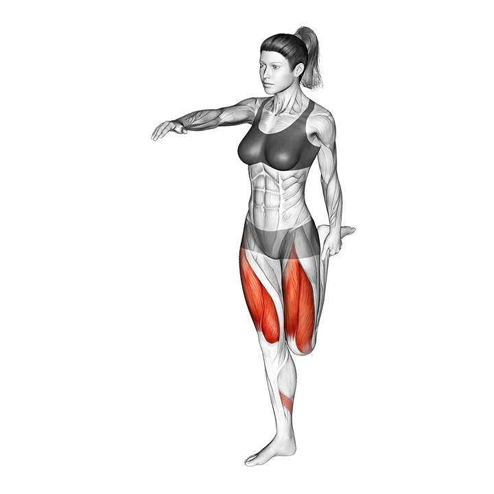 Shrimp Squat exercise animation (Female)