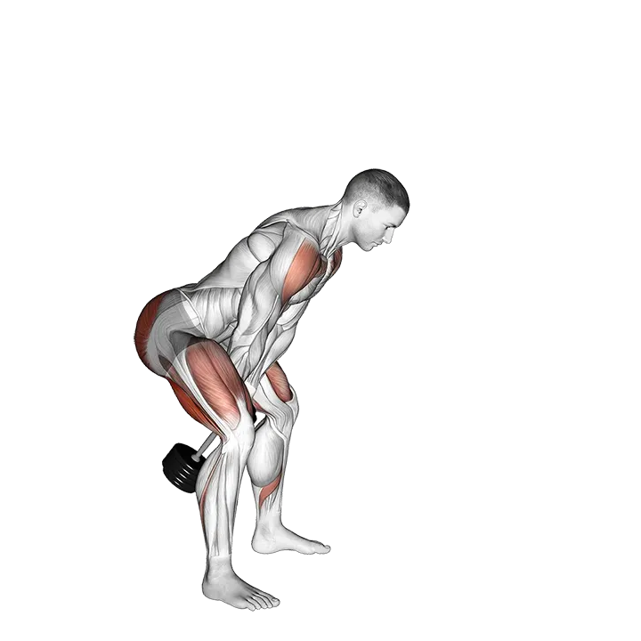 Dumbbell Swing exercise animation (Male)