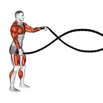 Battling Ropes Alternate Arms Squat