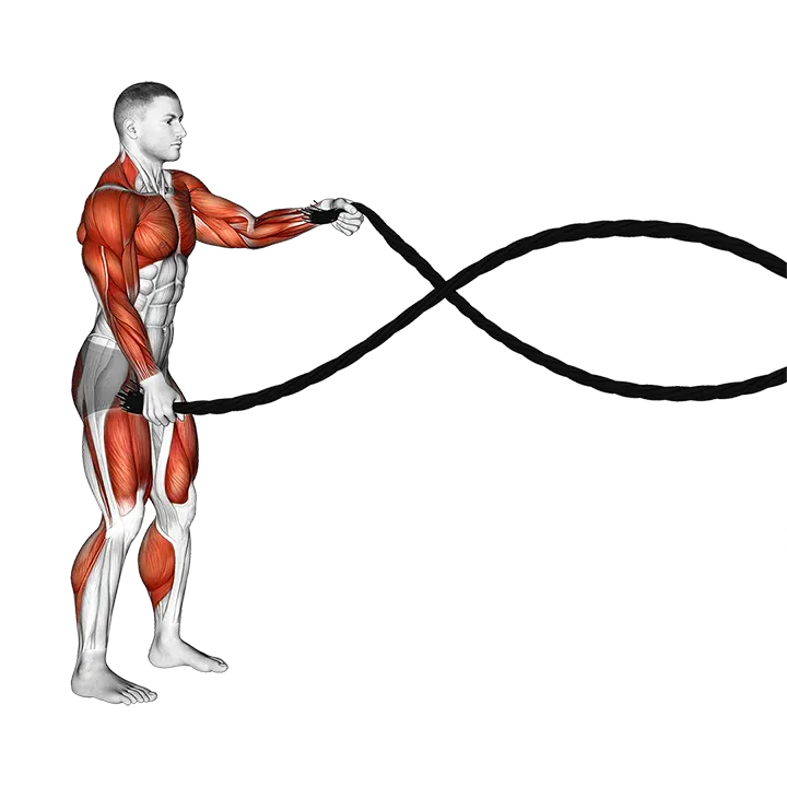 Battling Ropes Alternate Arms Squat exercise animation (Männlich)