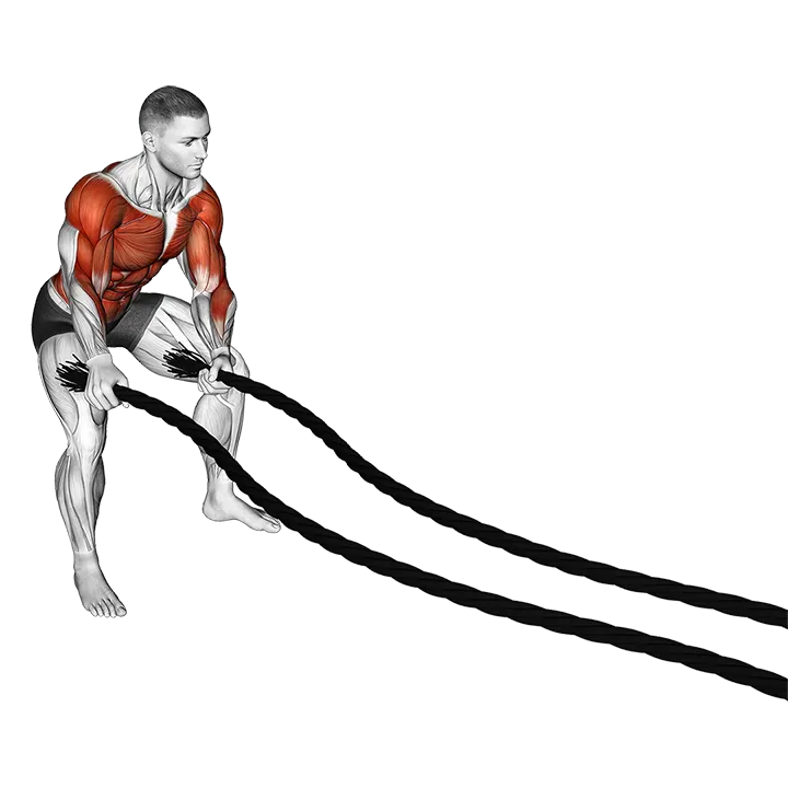 Battling Ropes Side to Side Arms exercise animation (Male)