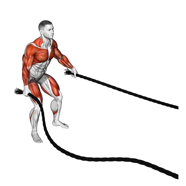 Battling Ropes Outside Circle exercise animation (Männlich)