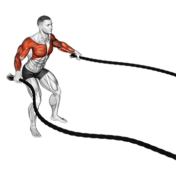 Battling Ropes Fly