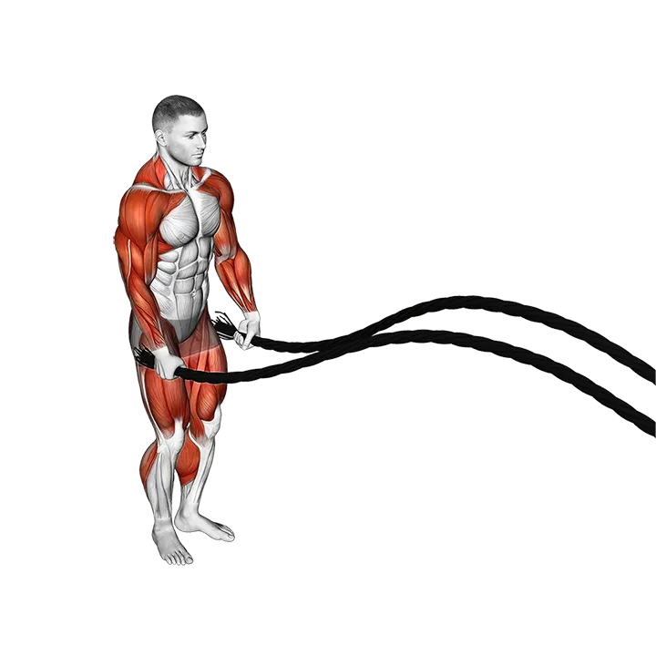 Battling Ropes Jumping Jack exercise animation (Male)