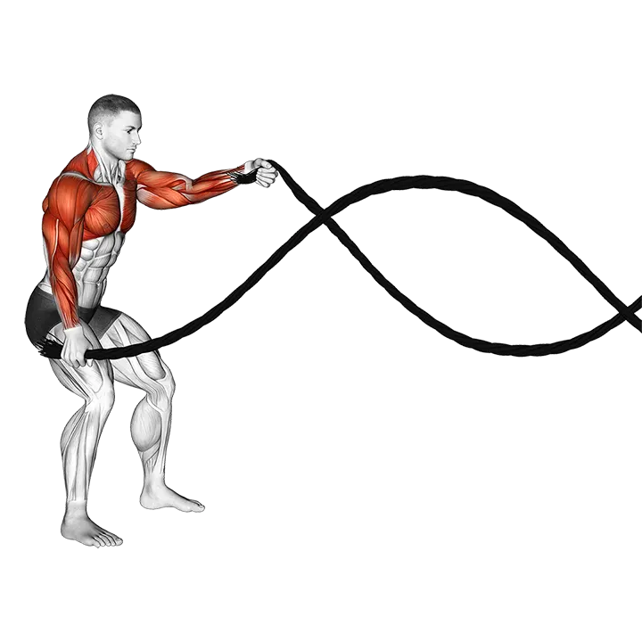 Battling Ropes High Waves exercise animation (Männlich)
