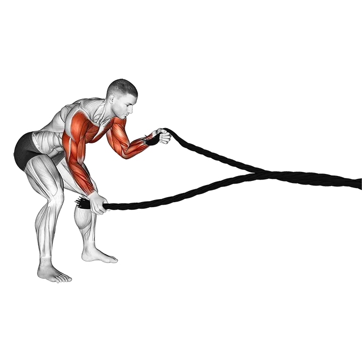 Battling Ropes Low Waves exercise animation (Männlich)