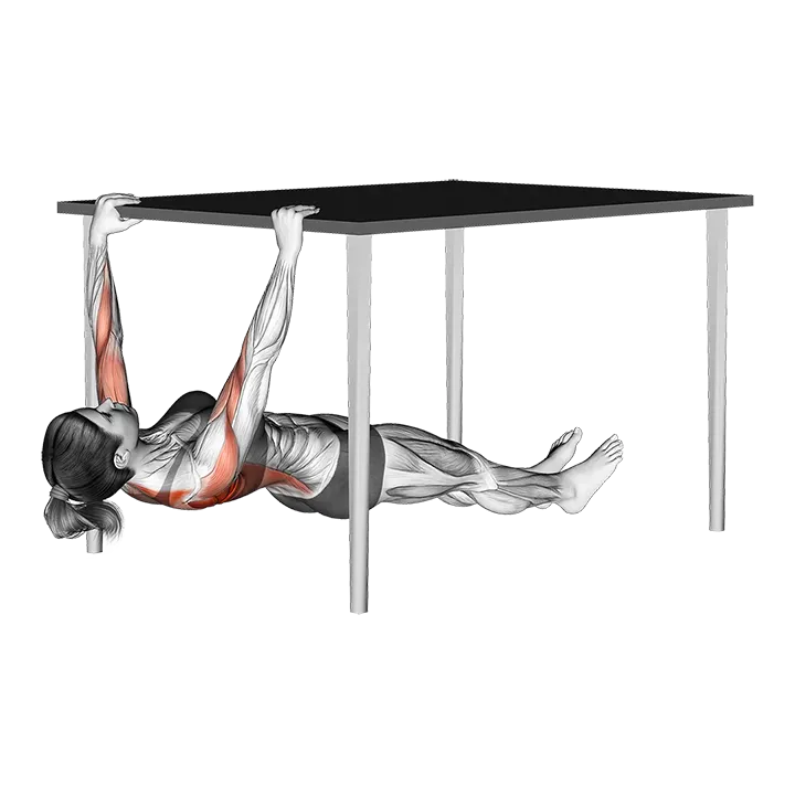 Inverted Row under Table exercise animation (Female)