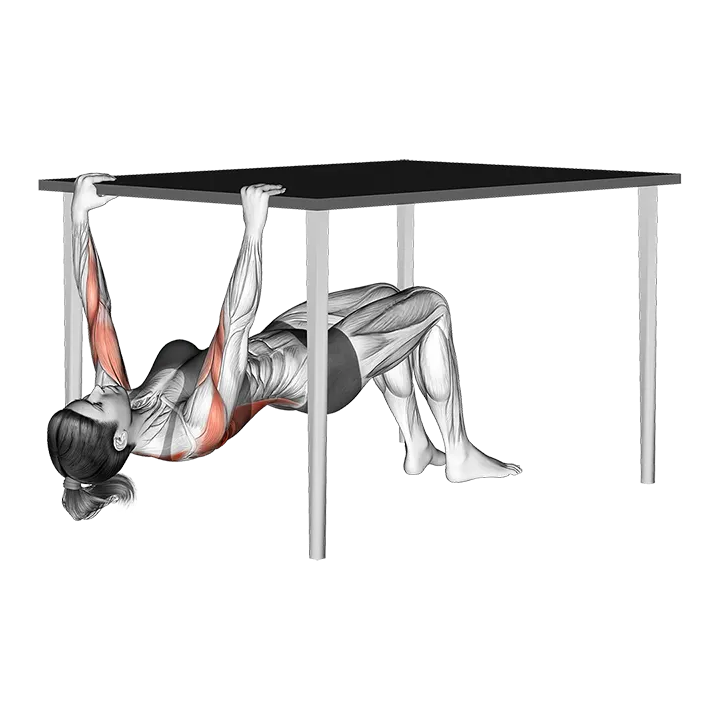 Inverted Row Bent Knee under Table exercise animation (Female)
