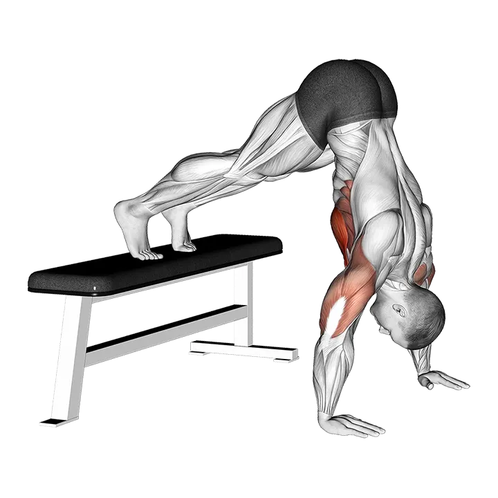 Pike Push up (on Bench) (VERSION 2) exercise animation (Male)