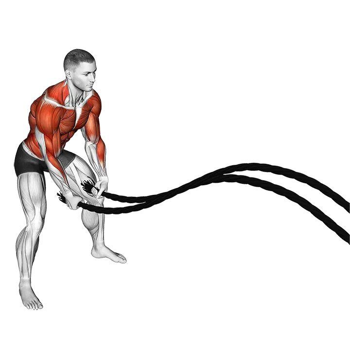 Battling Ropes Power Slam exercise animation (Männlich)