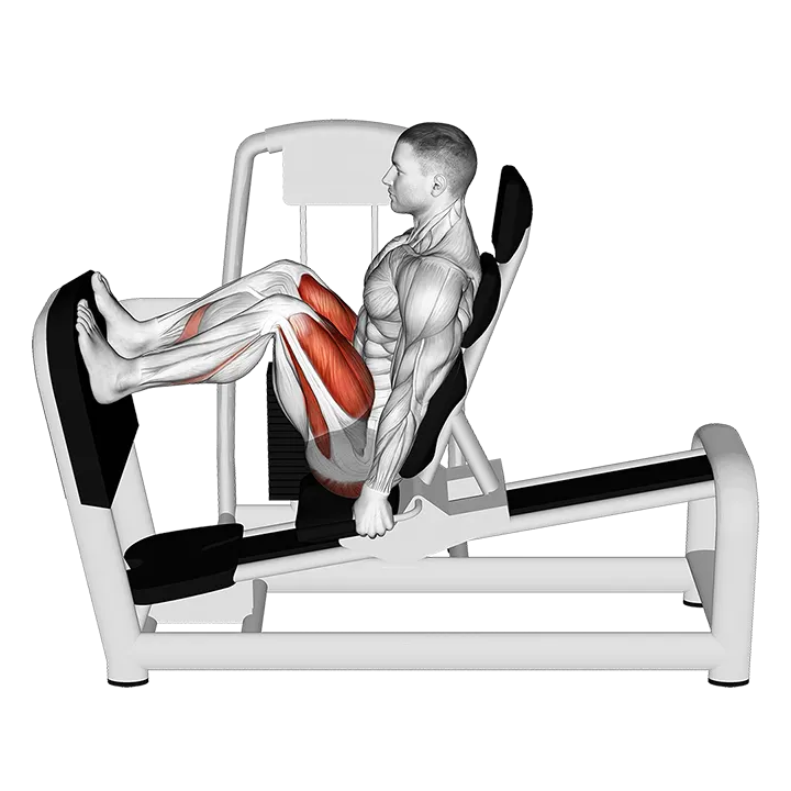 Lever Seated Leg Press (VERSION 2) exercise animation (Male)