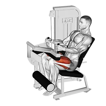 Lever Seated Leg Extension (VERSION 2)