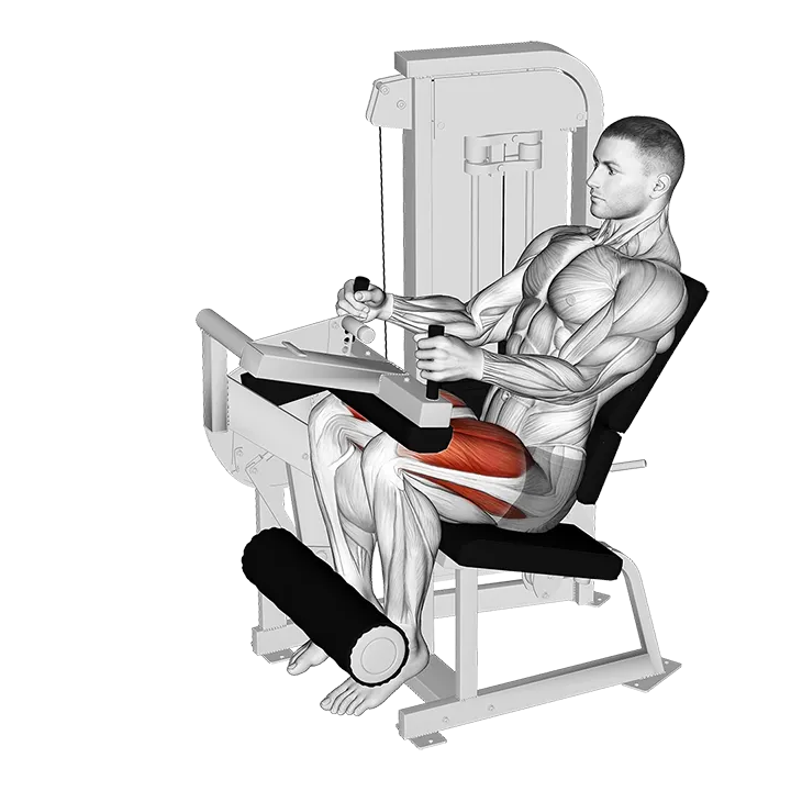 Lever Seated Leg Extension (VERSION 2) exercise animation (Male)