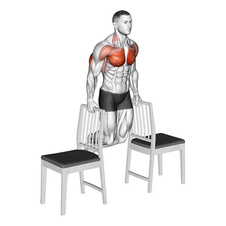 Dips between Chairs exercise animation (Male)