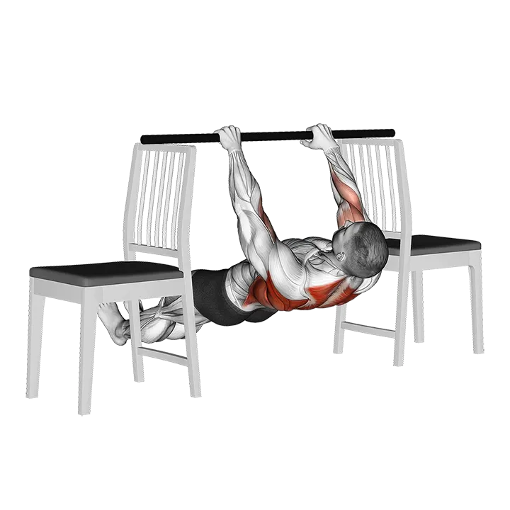 Inverted Row between Chairs exercise animation (Male)