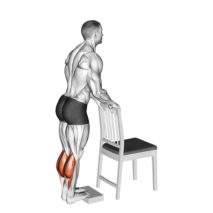 Calf Raise from Deficit with Chair Supported exercise animation (Männlich)