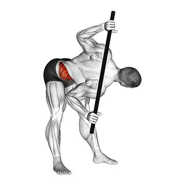 Bent Over Twist