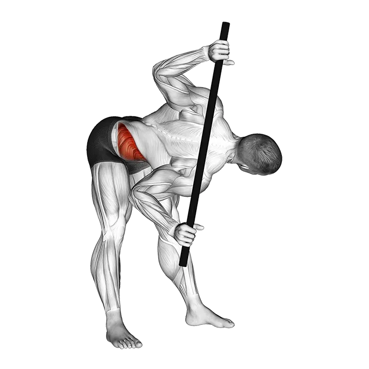 Bent Over Twist exercise animation (Male)