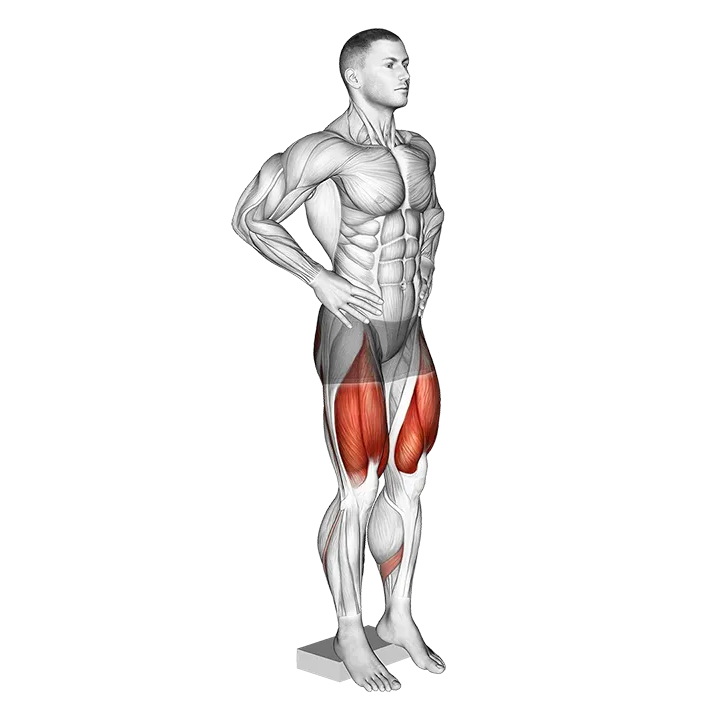 Narrow Squat from Deficit exercise animation (Male)