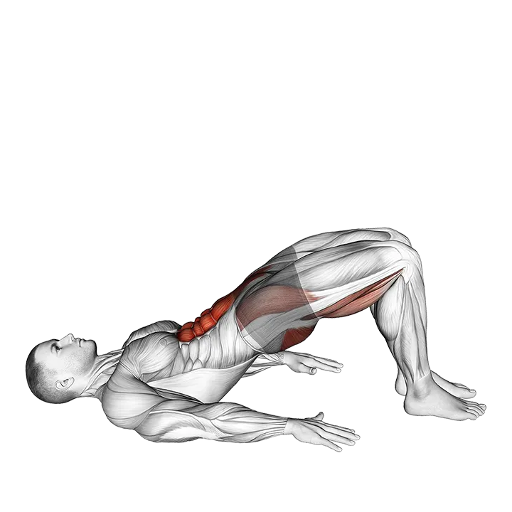 Glute March exercise animation (Male)