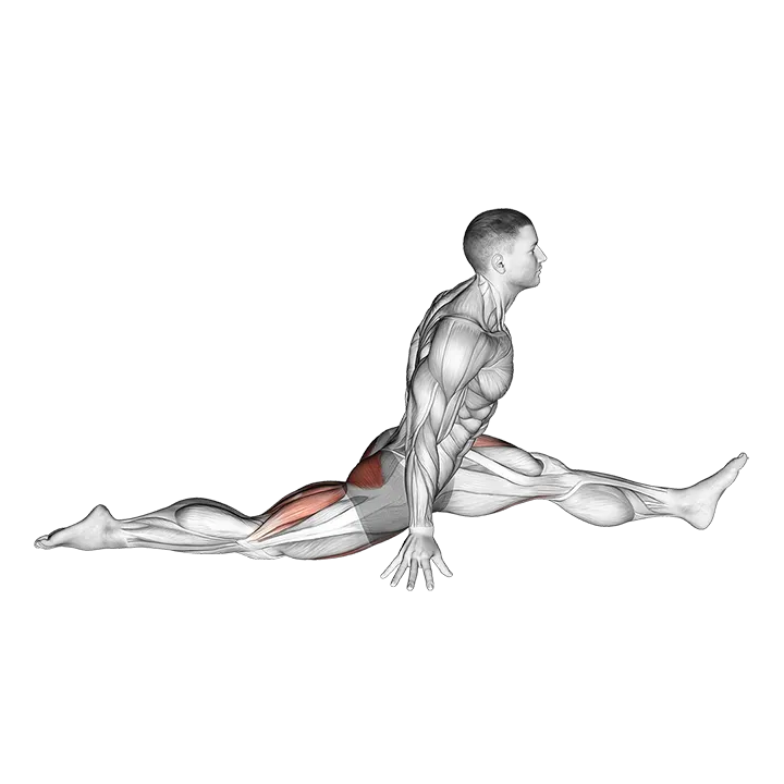 Flexion And Extension Hip Stretch exercise animation (Male)