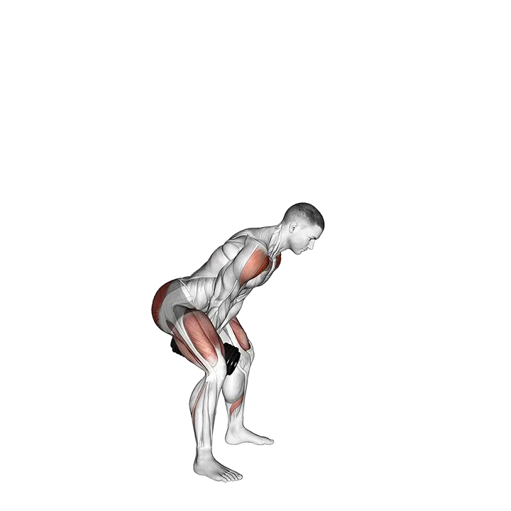 Dumbbell Full Swing exercise animation (Male)
