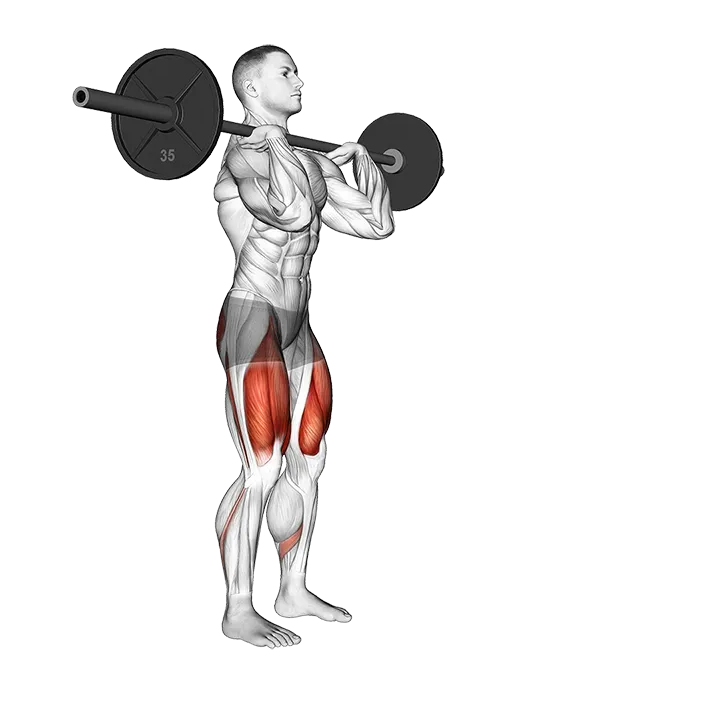 Barbell Front Rack Lunge exercise animation (Male)