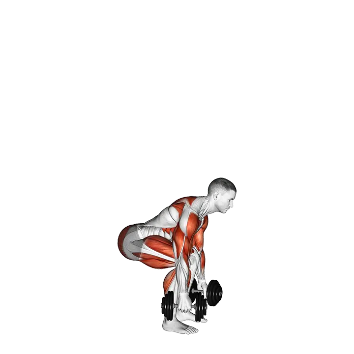 Dumbbell Clean and Press exercise animation (Male)