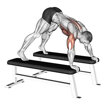 Pike Push-up (between Benches)