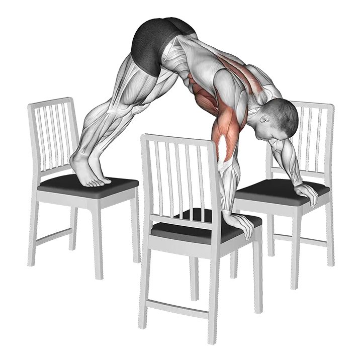 Pike Push-up (between Chairs) exercise animation (Hombre)