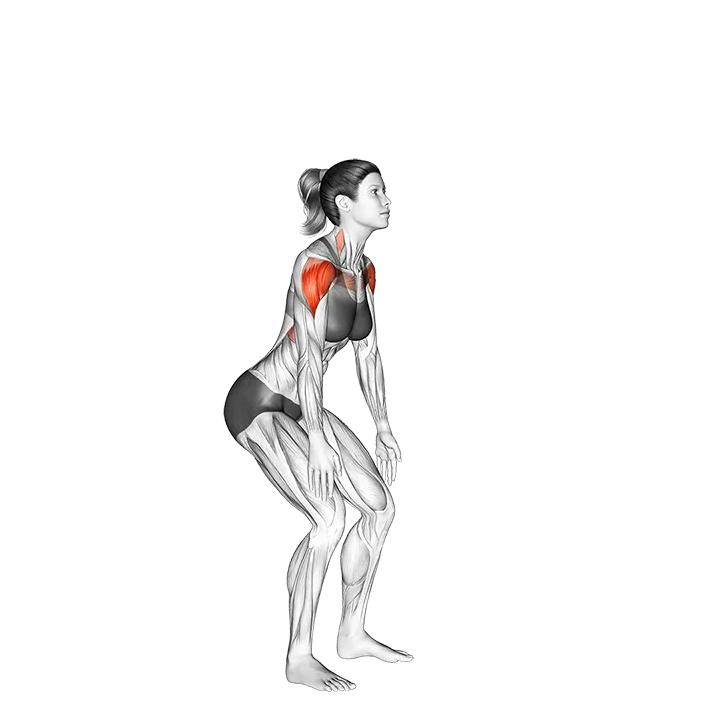 Standing Y-raise exercise animation (Female)