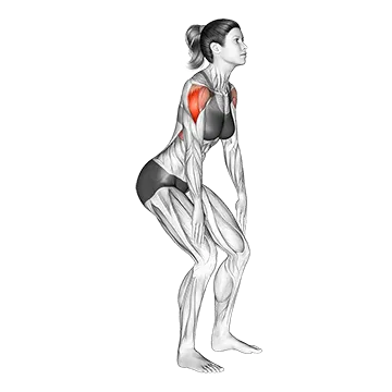 Standing T-raise