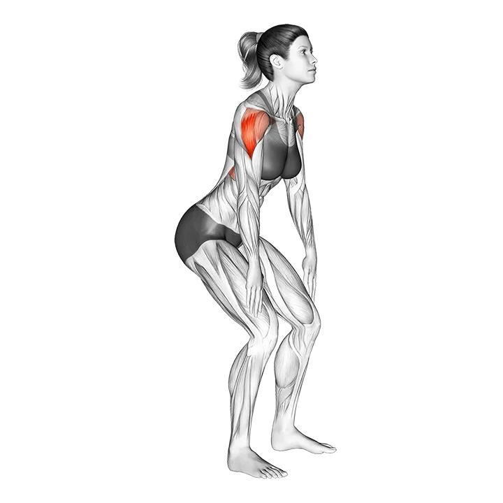 Standing T-raise exercise animation (Female)