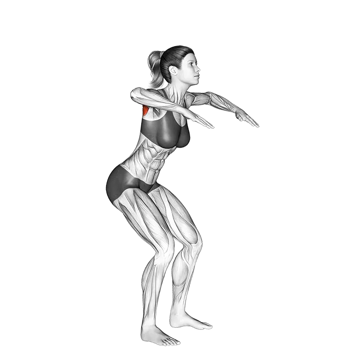 Standing W-raise exercise animation (Female)