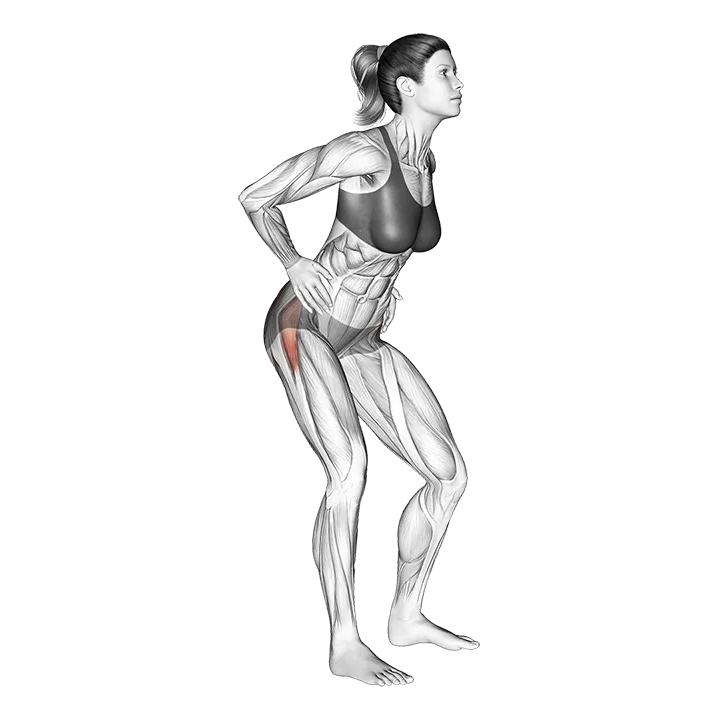 Standing Low Body Rotation exercise animation (Female)