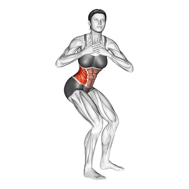 Standing Upper Body Rotation exercise animation (Female)