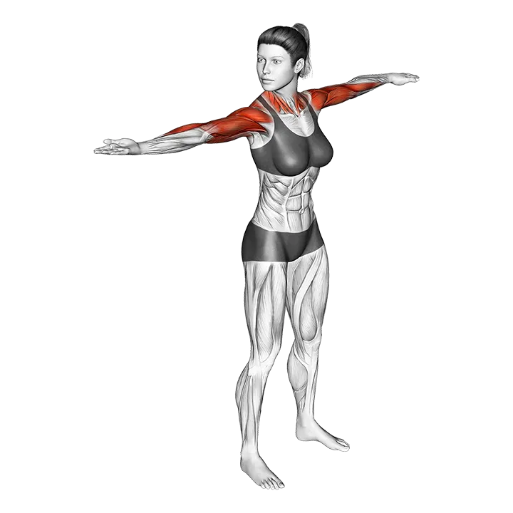 Standing Wring the Towel exercise animation (Female)