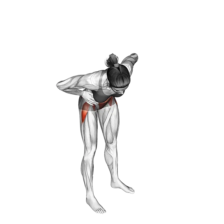 Standing Hip Circle exercise animation (Female)