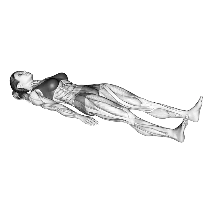 Lying Glute Squeeze exercise animation (Female)