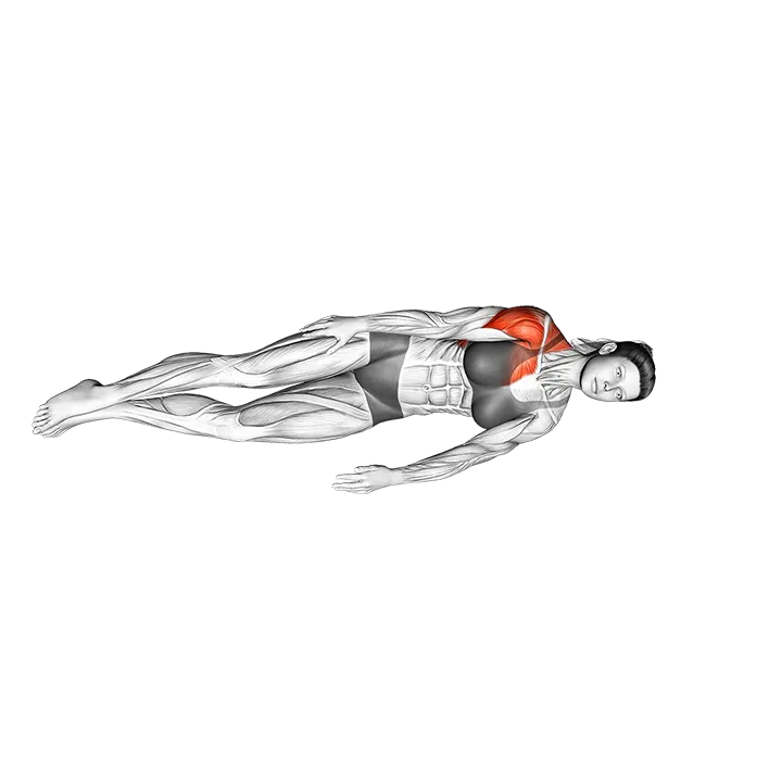 Lying Shoulder Sweep exercise animation (Female)