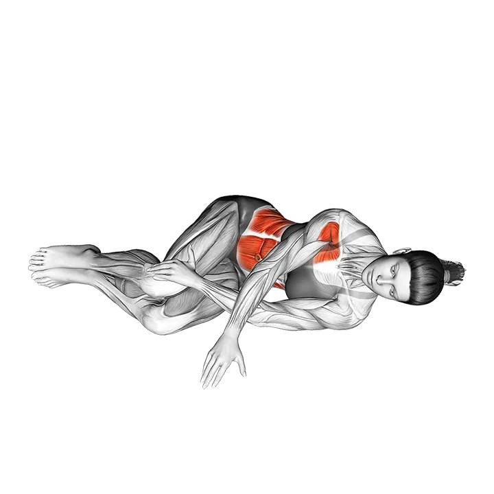 Lying Upper Body Rotation exercise animation (Female)