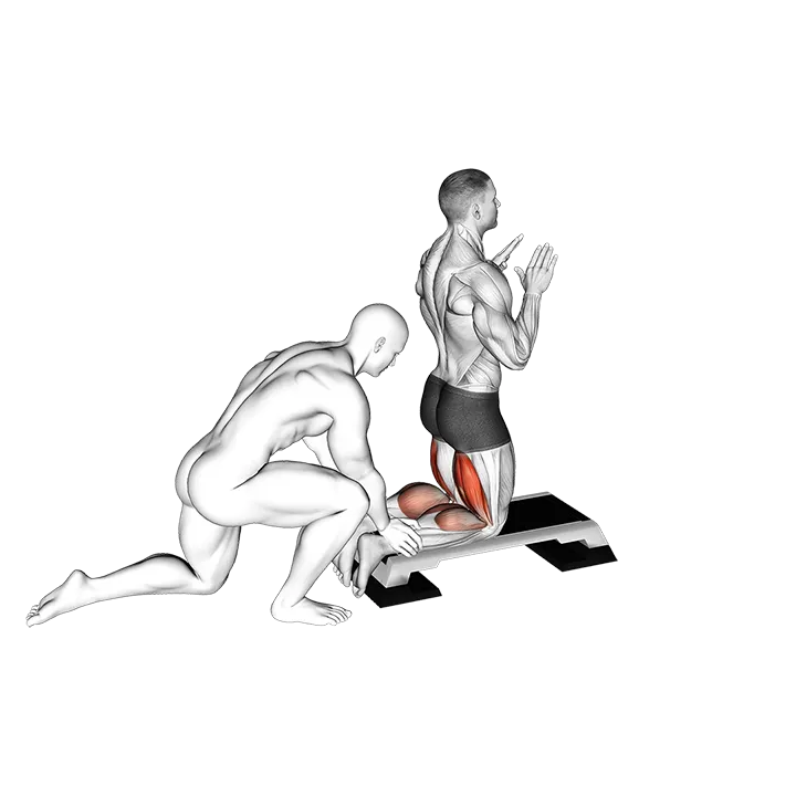 Assistierter umgekehrter Beinbeuger exercise animation (Männlich)