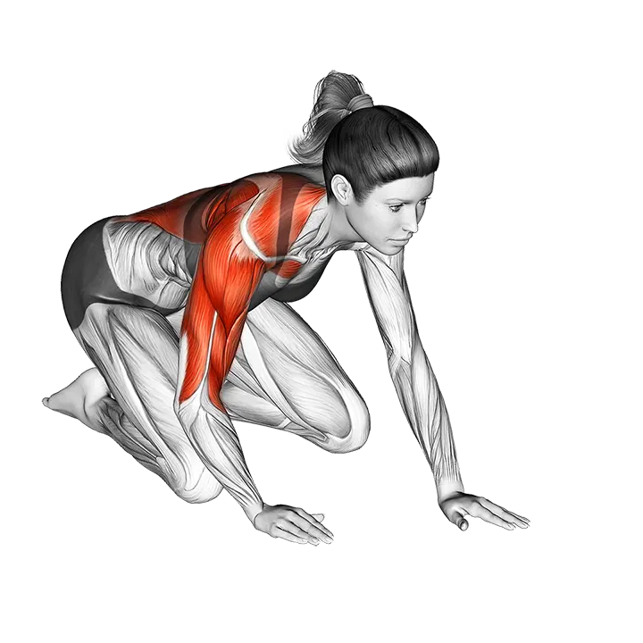 Kneeling One Arm Arm Reach Roll Lift exercise animation (Female)