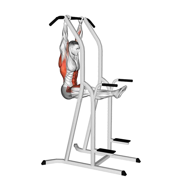 L-Pull-up exercise animation (Male)