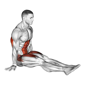 L-Sit on Floor