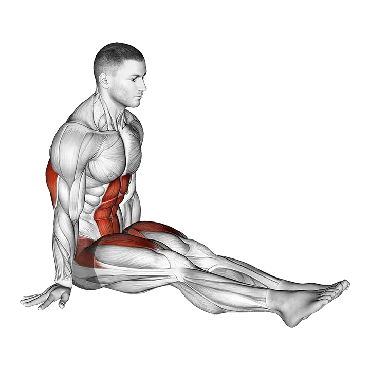 L-Sit on Floor exercise animation (Male)